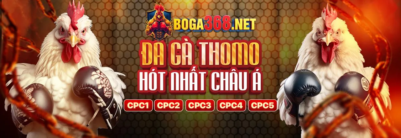 Giao diện ứng dụng casino mcw 67 trên điện thoại di động
